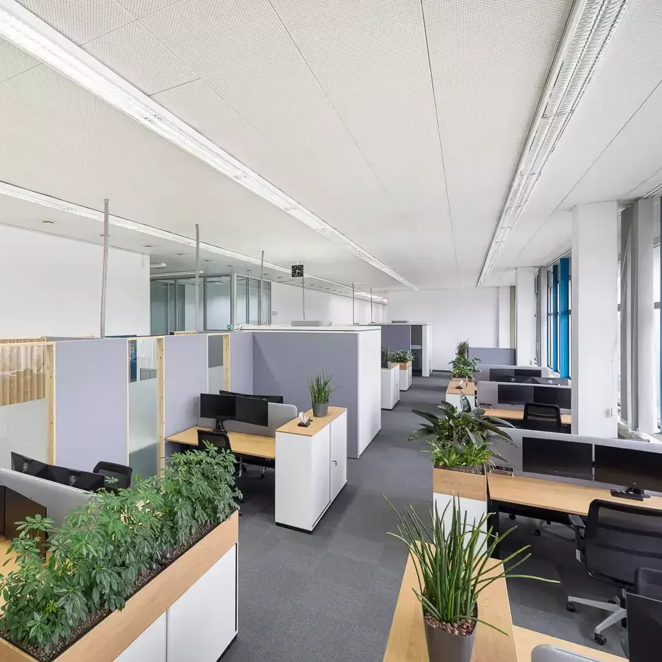 Ein Großraumbüro mit minimalistischen Stil, Pflanzen und mehreren Büroarbeitsplätzen.