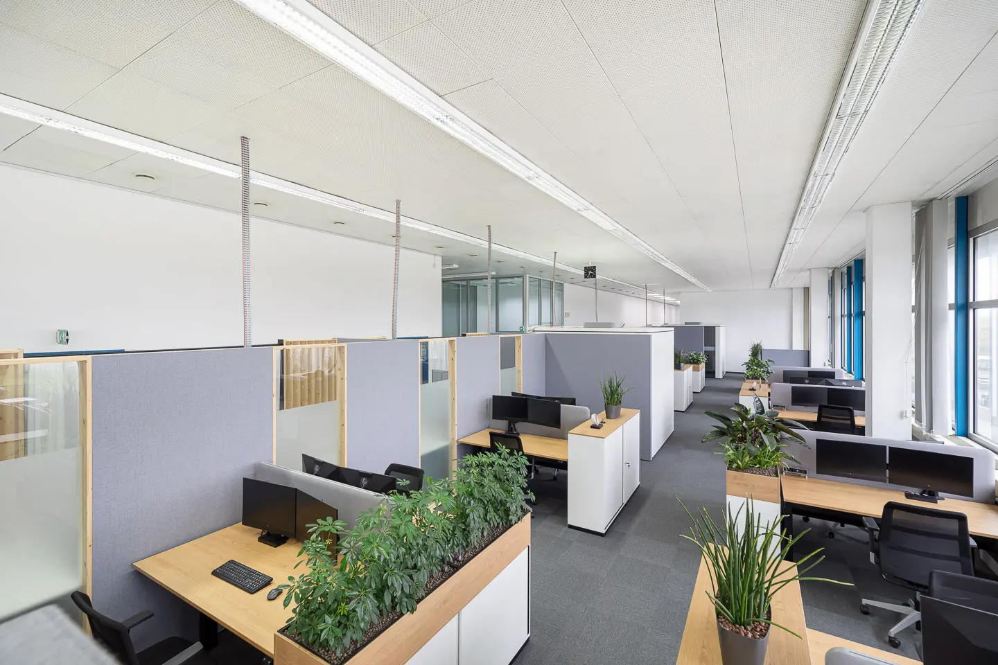 Ein Großraumbüro mit minimalistischen Stil, Pflanzen und mehreren Büroarbeitsplätzen.